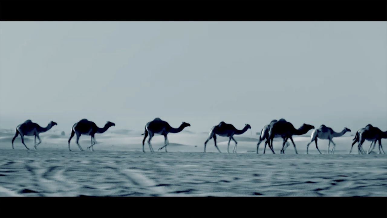 MARIB - Project Documentary