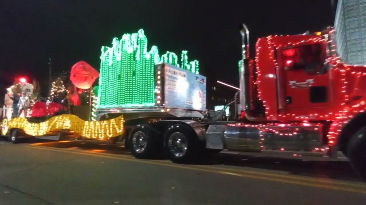 Silver Bells in the City 2024 Lansing MI Part 12/21 #silverbells #lansingmi #xmas