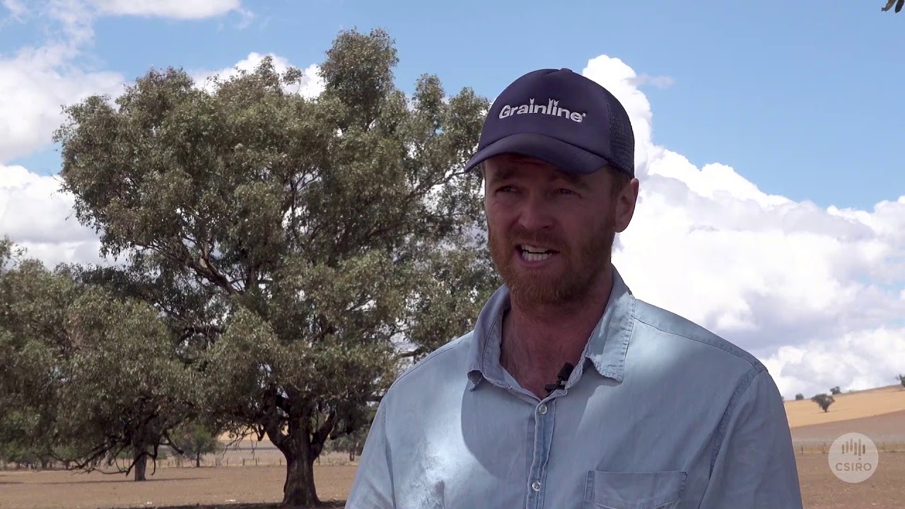 Dual-purpose crops bring drought resilience to farming