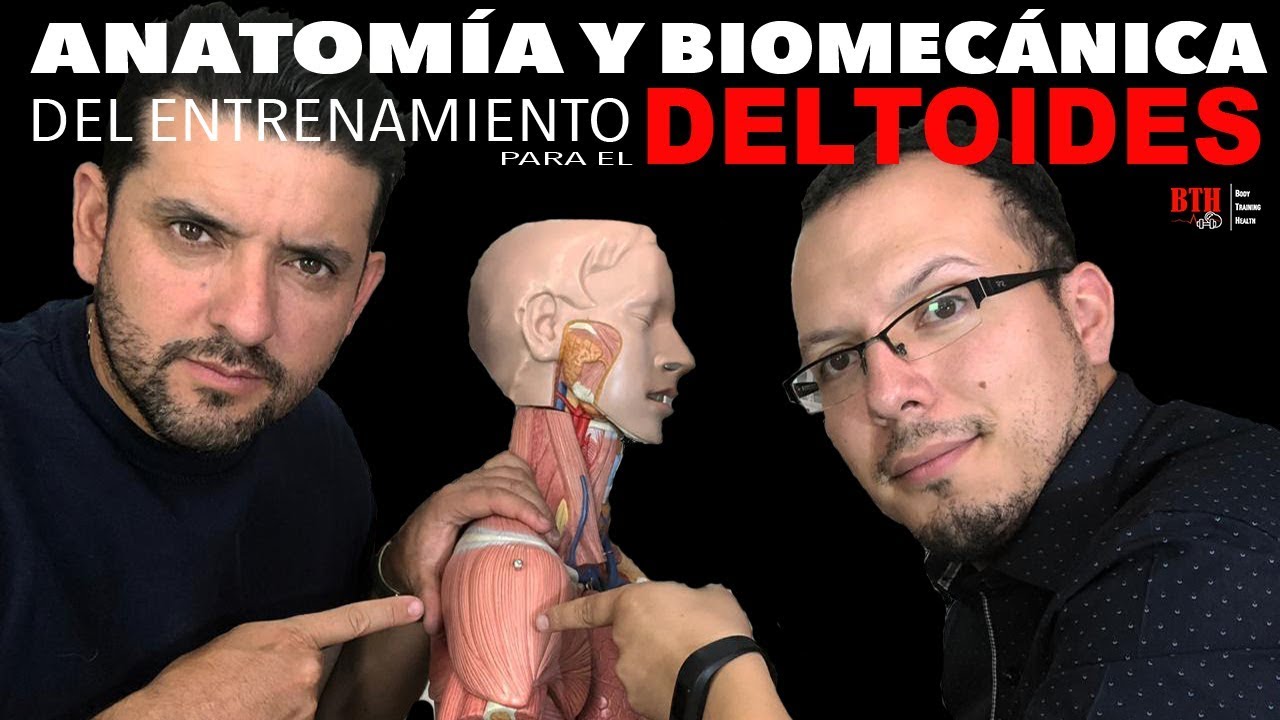 ENTRENAMIENTO DE DELTOIDES - ANALISÍS BIOMECÁNICO Y ANATÓMICO