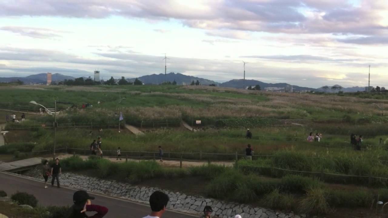 PicturesofKorea.com Sky Park 하늘 공원