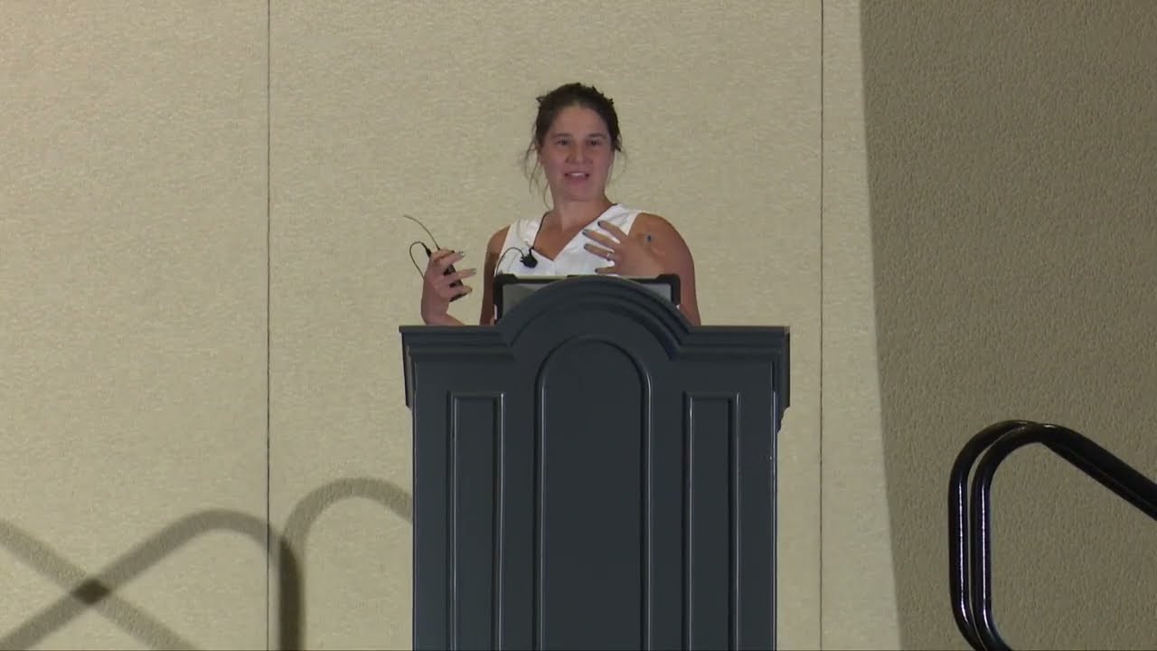 Maya Gans | Creating a Design System for Shiny and RMarkdown | RStudio (2022)