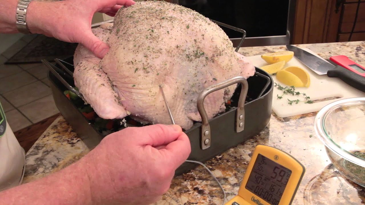 Proper Probe Placement in a Turkey