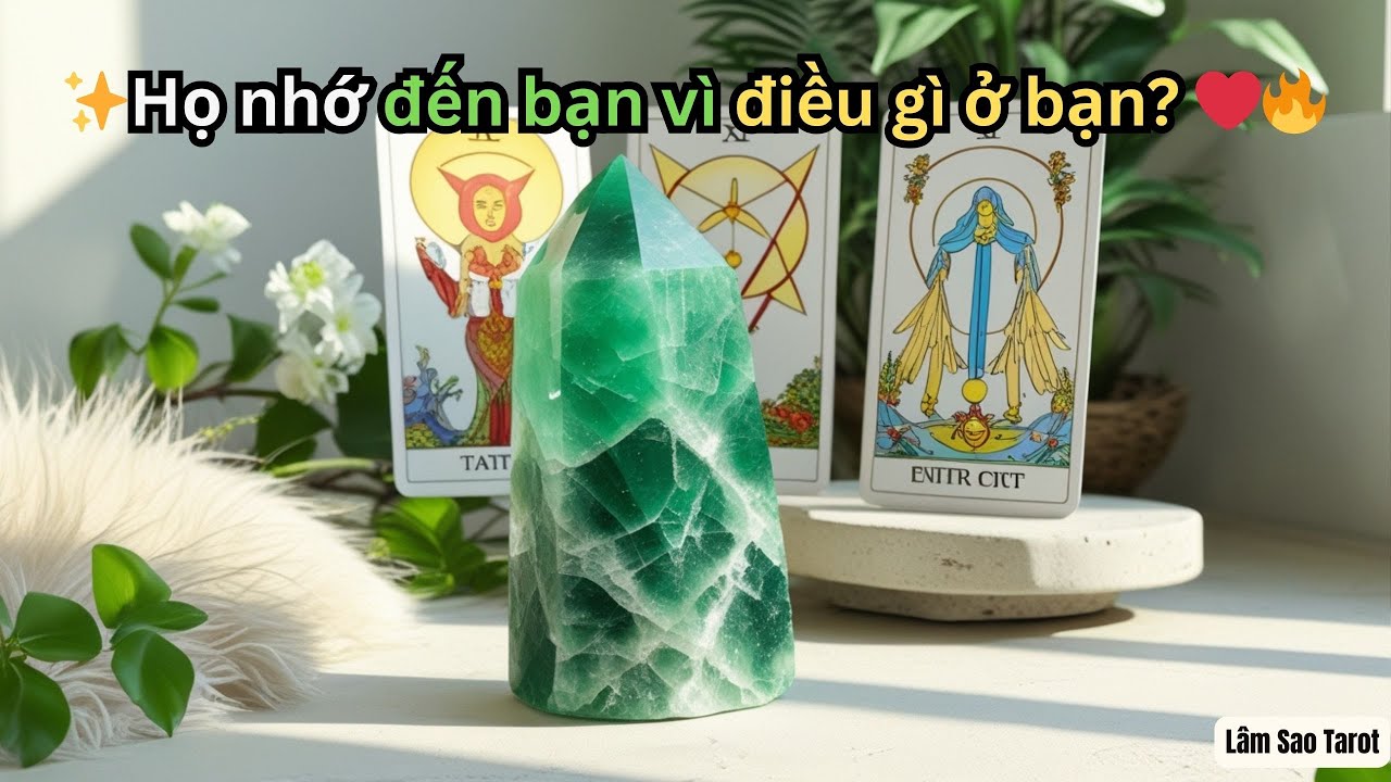Họ nhớ đến bạn vì điều gì ở bạn? #tarot #lamsaotarot