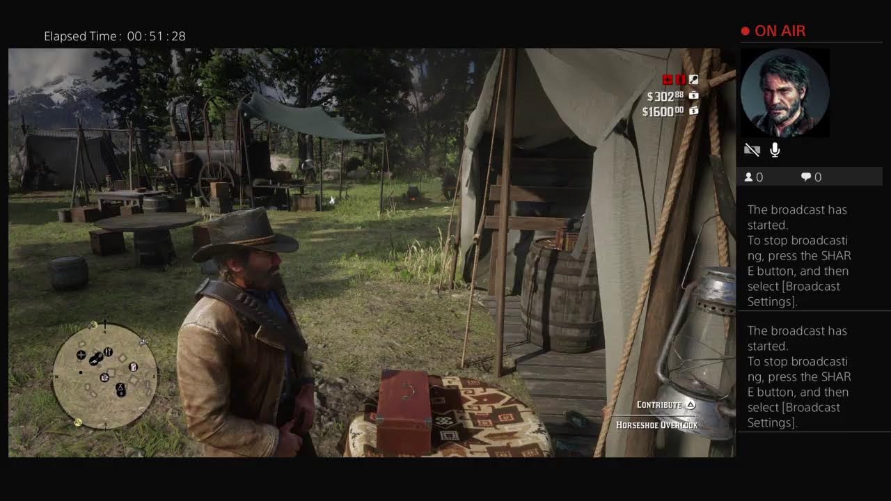 DarkSoulry71's Live on PS4 Red dead redemption 2