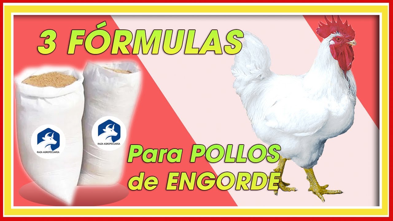 POLLOS de ENGORDE 3 FÓRMULAS GRATIS INICIO CRECIMIENTO y FINAL ǀ Ing. Jannin Hernández Blandón