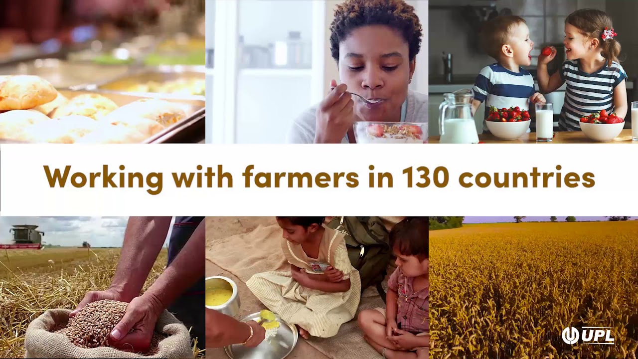 Dia Mundial da Alimenta&ccedil;&atilde;o | UPL Brasil