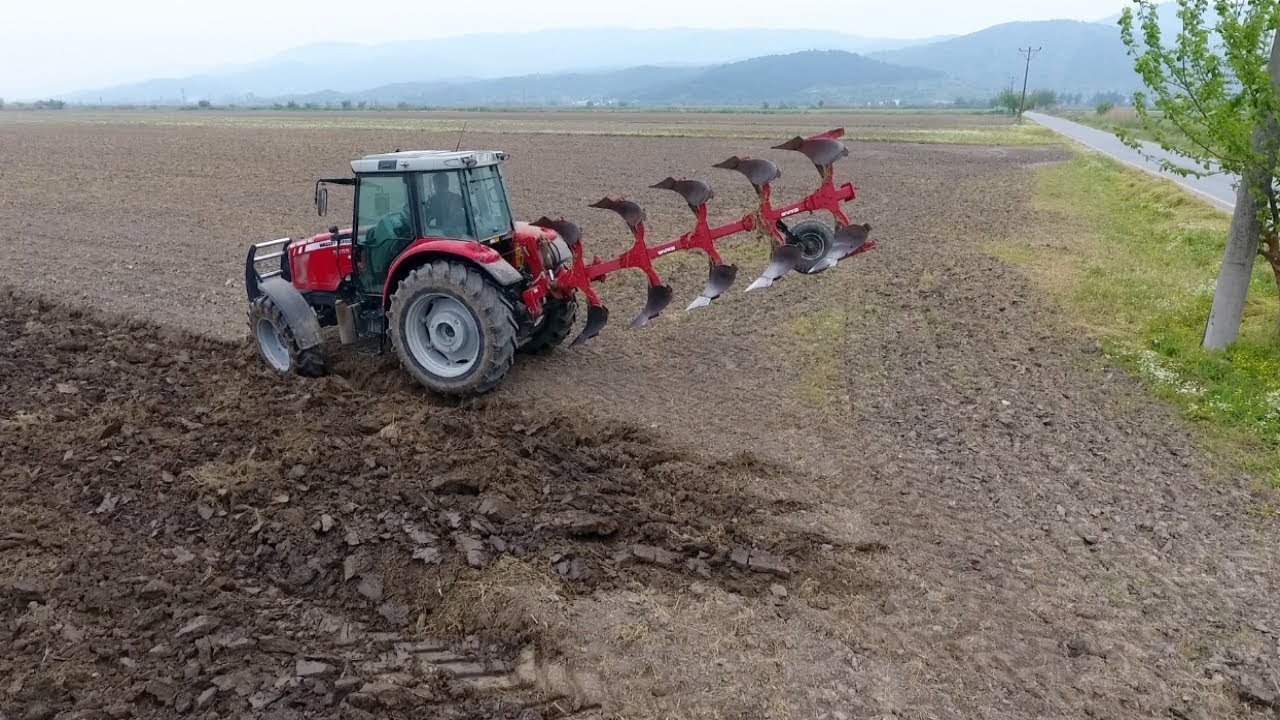 Massey Ferguson 5455 Dyna-4