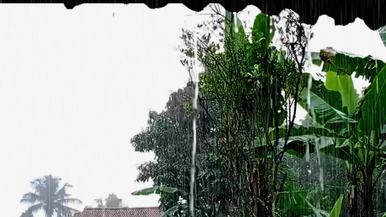 «Эстетичное звучание сильного дождя 🌧️ Спокойная атмосфера, которая доставляет удовольствие при