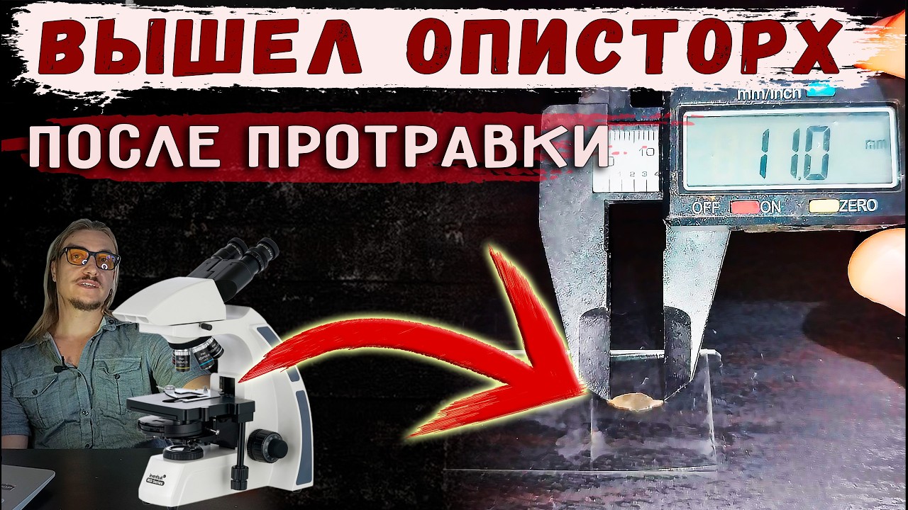 Вышел печеночный сосальщик (описторх) после антипаразитарной протравки