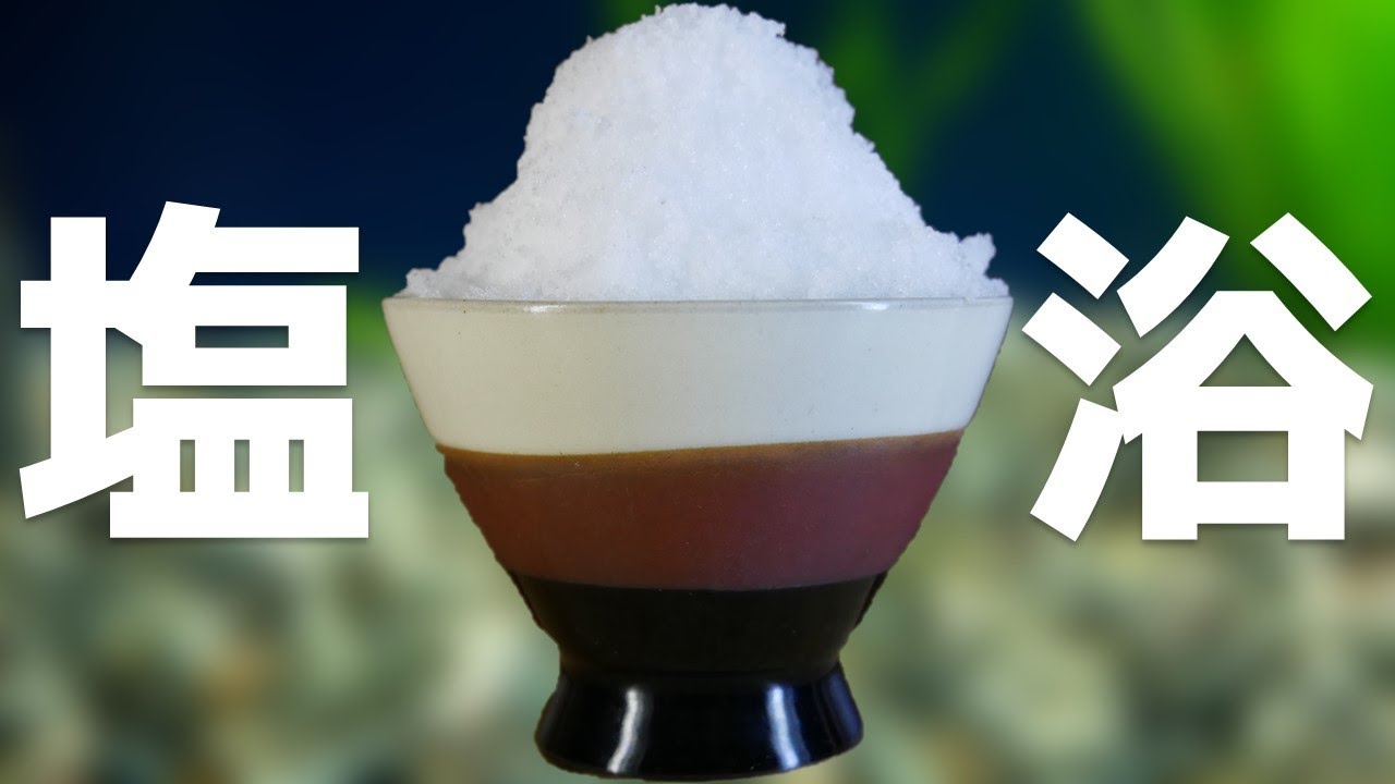 【塩浴】２度あることは3度あった・・様子がおかしいから塩を入れてみたんだけど【ふぶきテトラ】