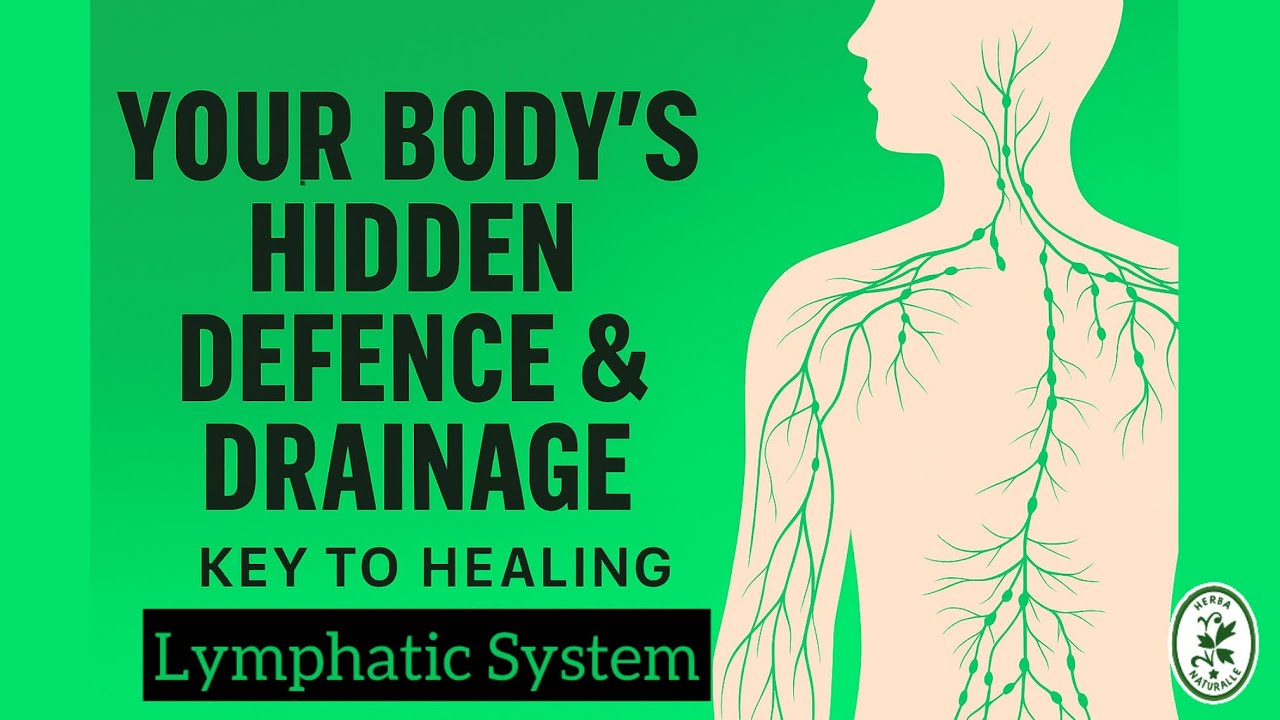 Stop Inflammation Pandemic l Lymphatic System l Anjela Jeganathan