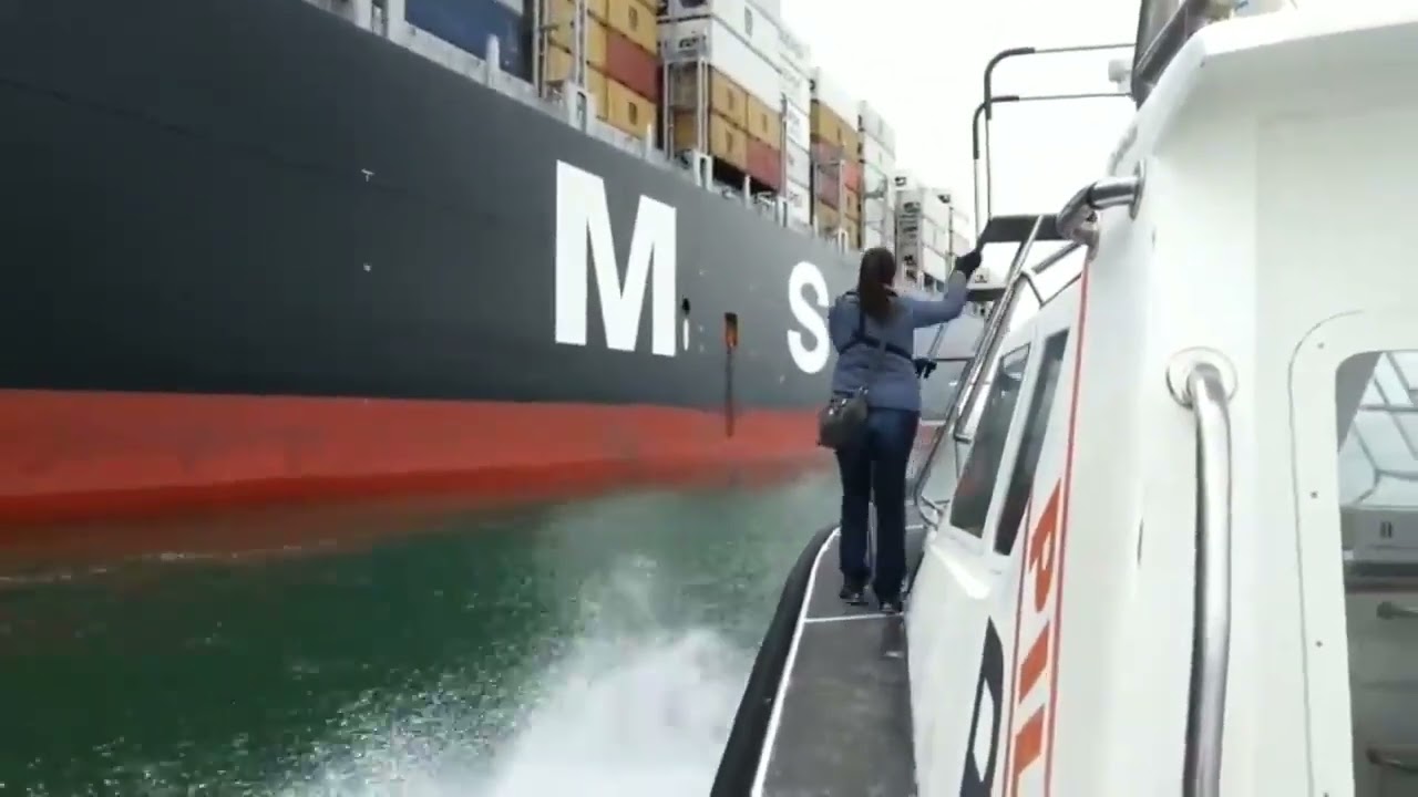 pilot Boarding || #mariners #deckcadet #ship #captain #marchantnavy