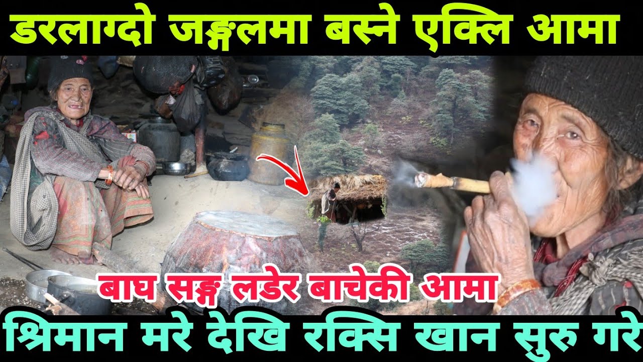 डरलाग्दो जङ्गलमा बस्ने अभागि आमाको रुवाउने जिबन कथा,बाघ सङ्ग लडेर बाचे  Epic Nepal