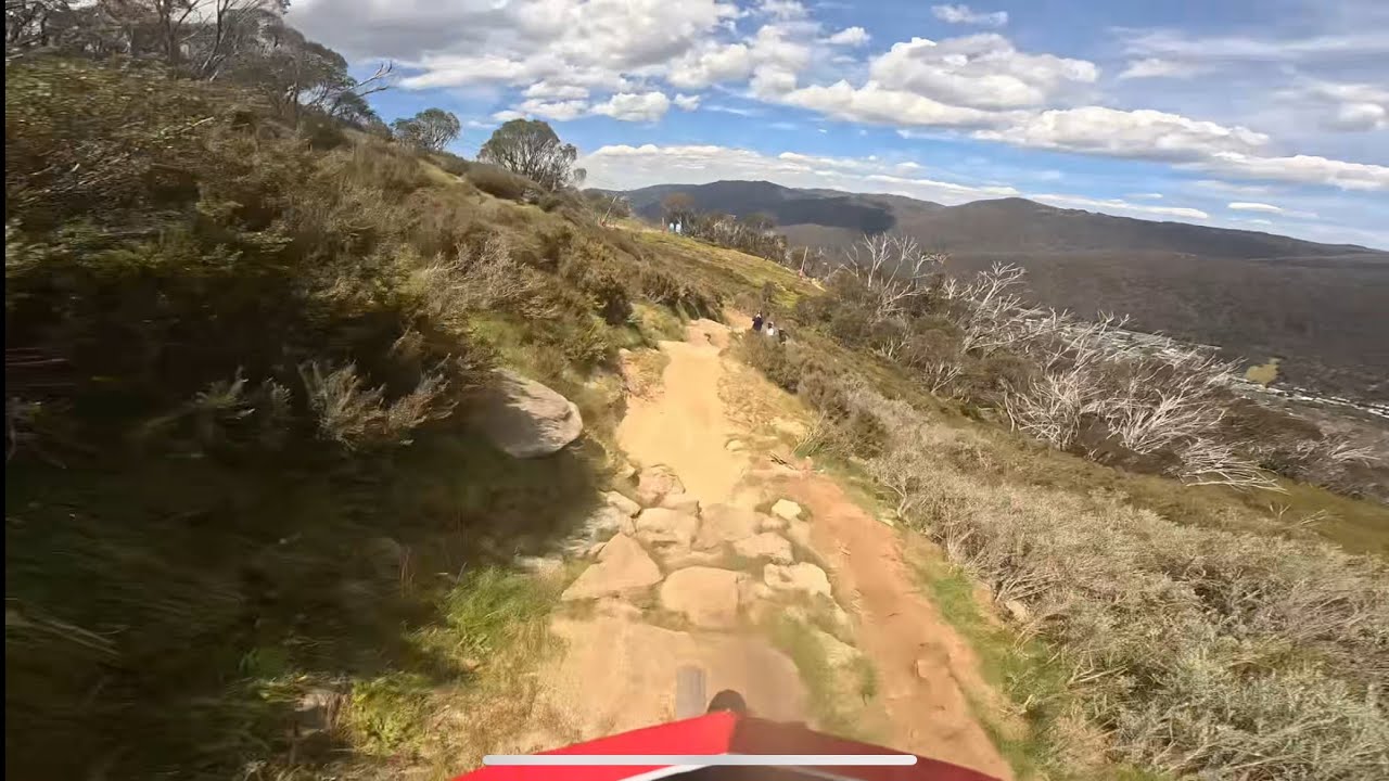 Thredbo Cannonball Dh