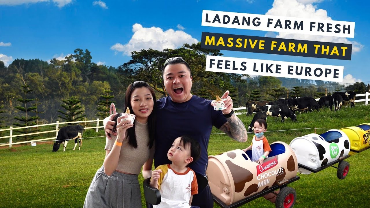 Escape to a New Zealand dairy farm?!? (in Malaysia) Ladang Farm Fresh @ UPM Serdang