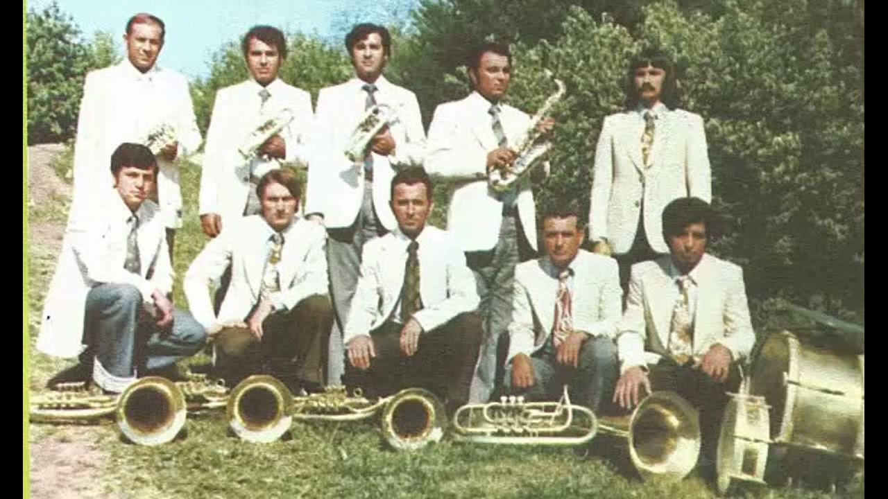 VLAŠKA PLEH MUZIKA - BRAĆA JOVANOVIĆ (VlaškiMelos)