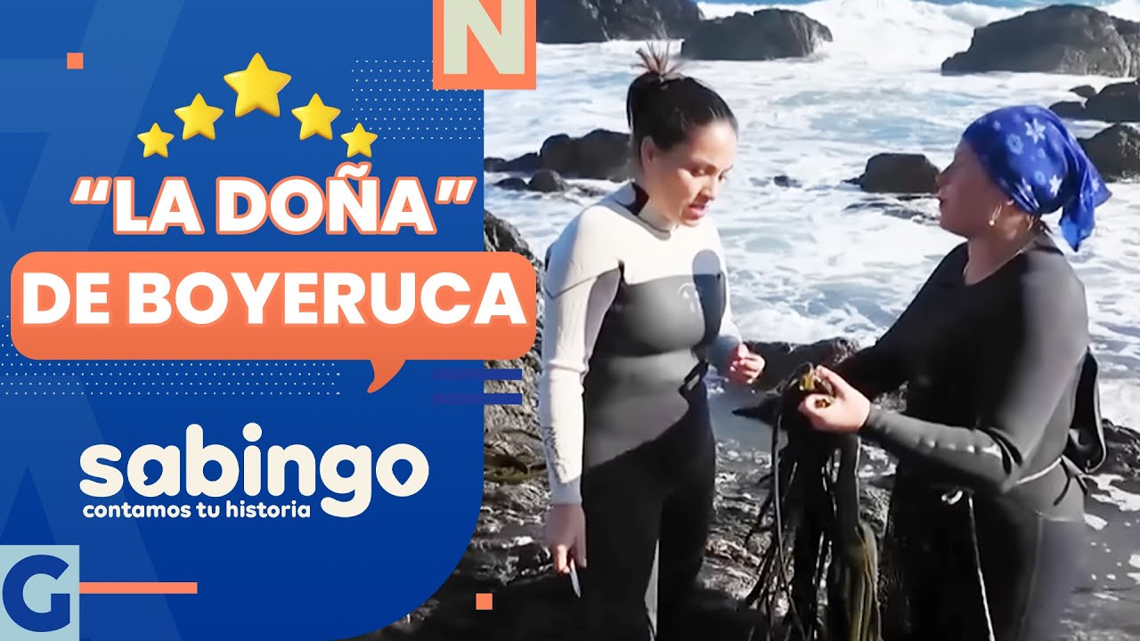 ALGUERA Y COCINERA: La historia de 