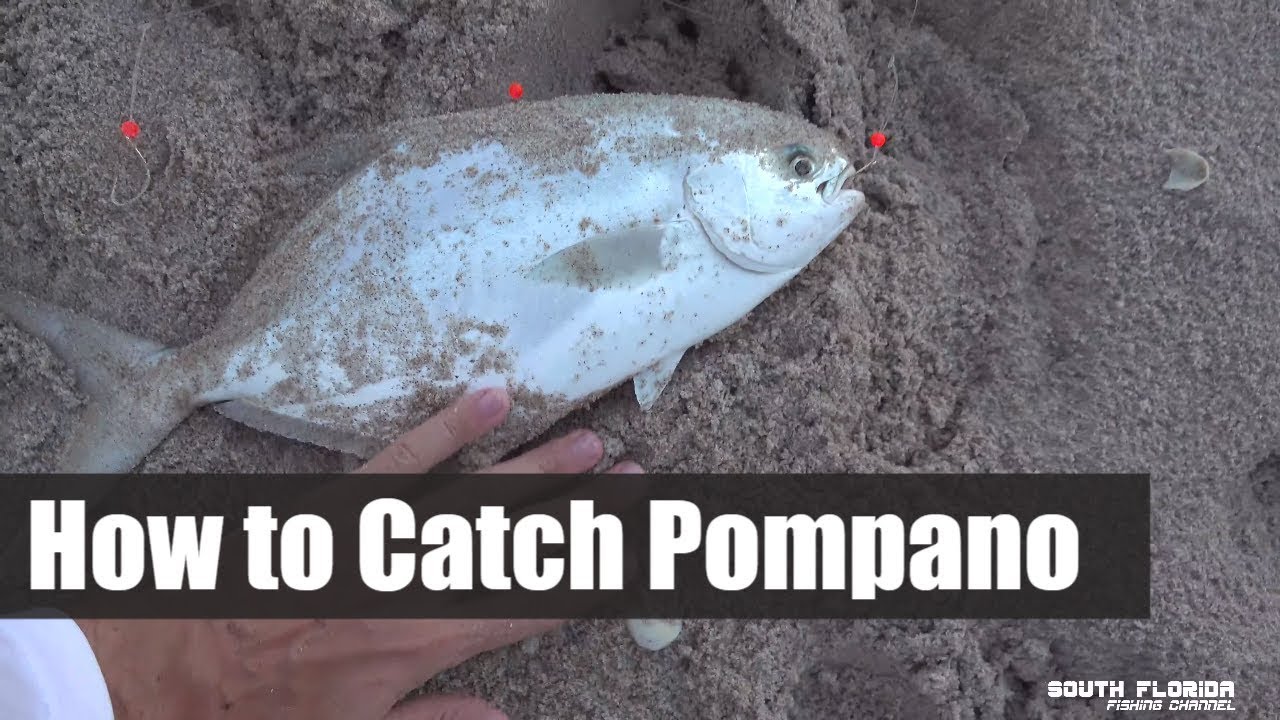 How to Catch Pompano | Catch and Cook