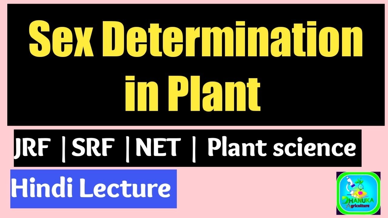 Sex determination in plant | JRF | SRF |NET| Plant science|CET