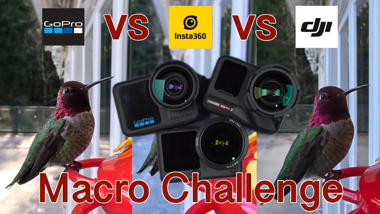 Macro Lens Comparison   DJI Osmo Action 6 vs GoPro Hero 13 vs Insta360 Ace Pro 2
