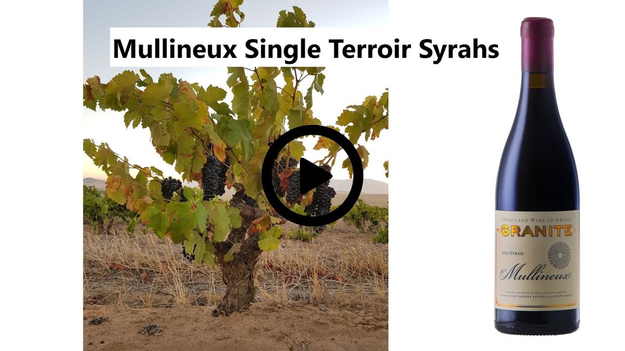Single Terroir Syrahs Video