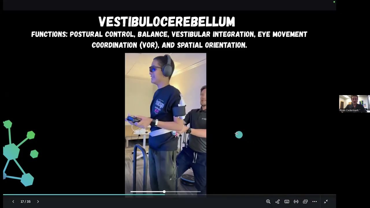 Functional Neurology for Chiropractors: The Cerebellum, Neuroplasticity and TBI Rehab