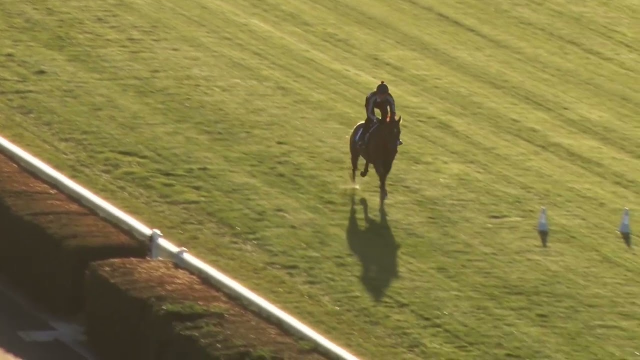 3 Feb    Gallops 2026    Gallop 3