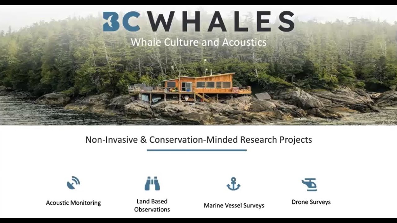 2025-03-13 Whale Sound: The Acoustic Tradition of Whales – Janie Wray