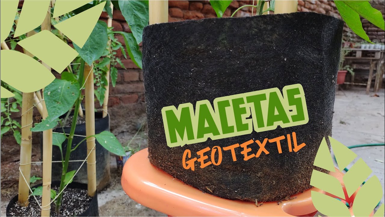 Macetas de tela o geotextil. &iquest;Qu&eacute; son y por qu&eacute; cada d&iacute;a son m&aacute;s utilizadas? 🌲🌲