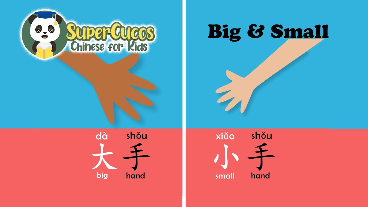 学中文- 大小高矮长短| Learn Chinese for Kids - Big and Small | Aprender Chino - Vocabulario de Opuestos
