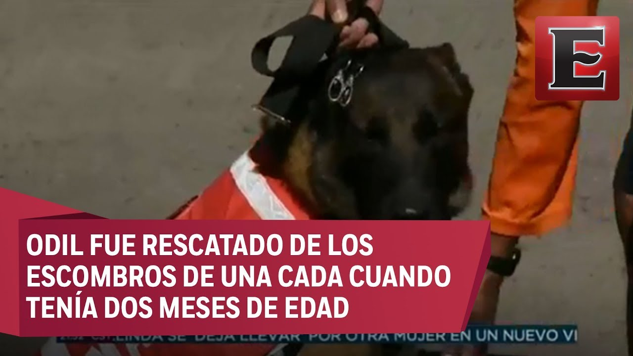De rescatado a rescatista