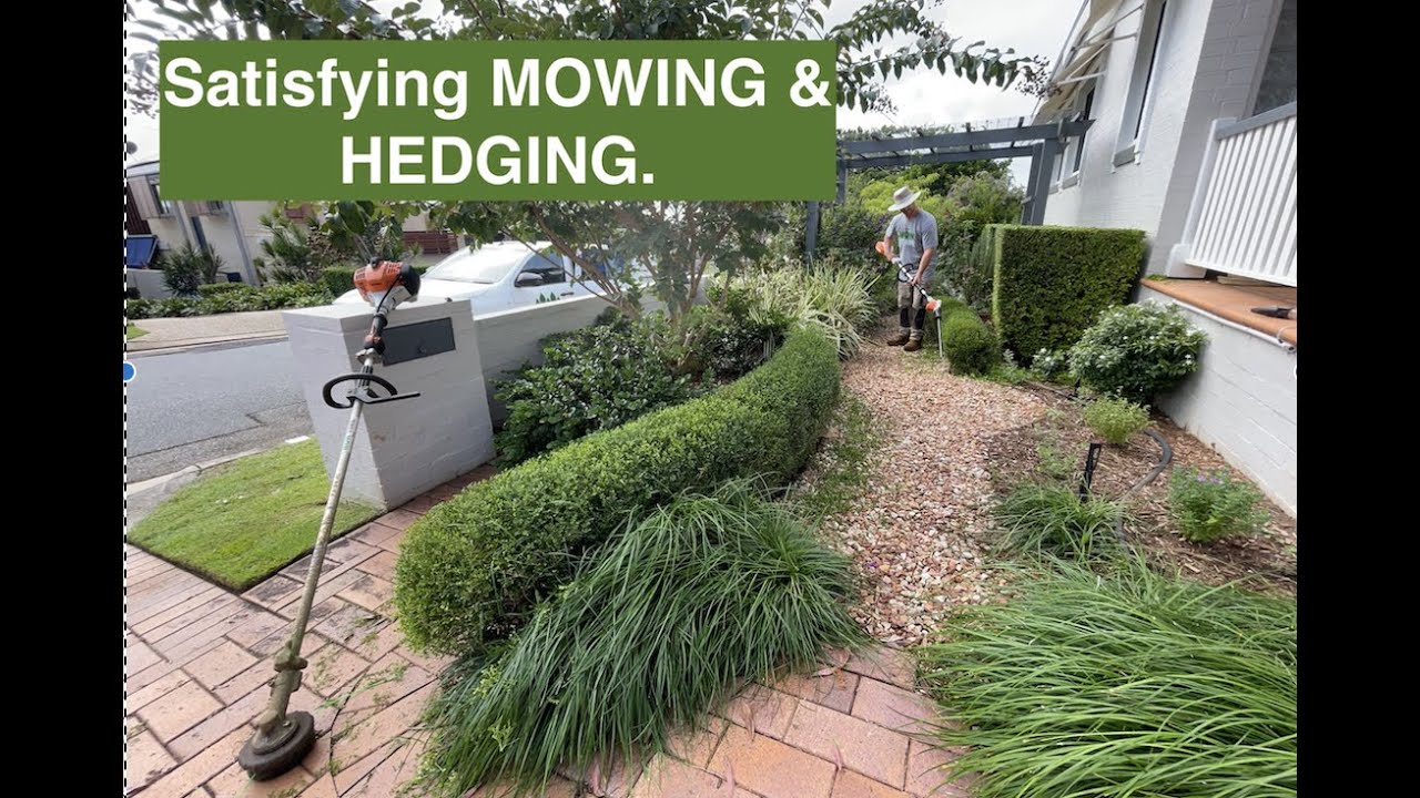 MOWING & HEDGING my clients small lawn and garden. Satisfying lawn and garden maintenance.