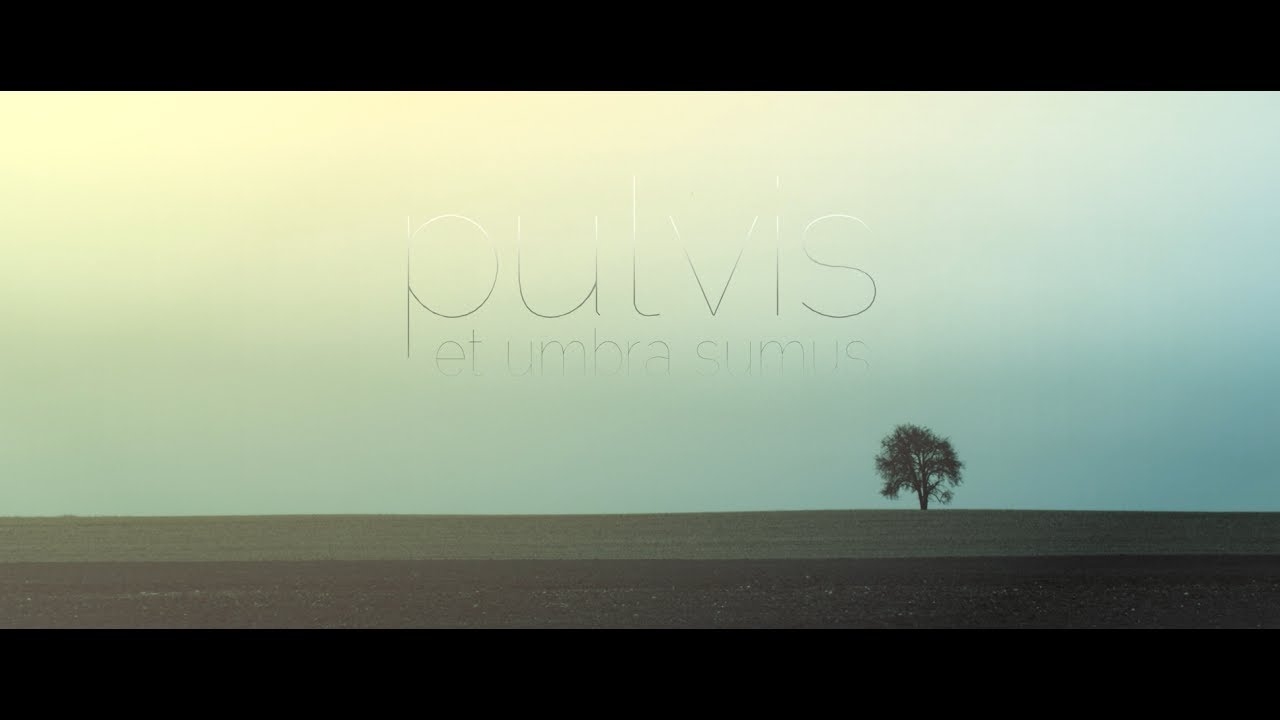 Pulvis et umbra sumus