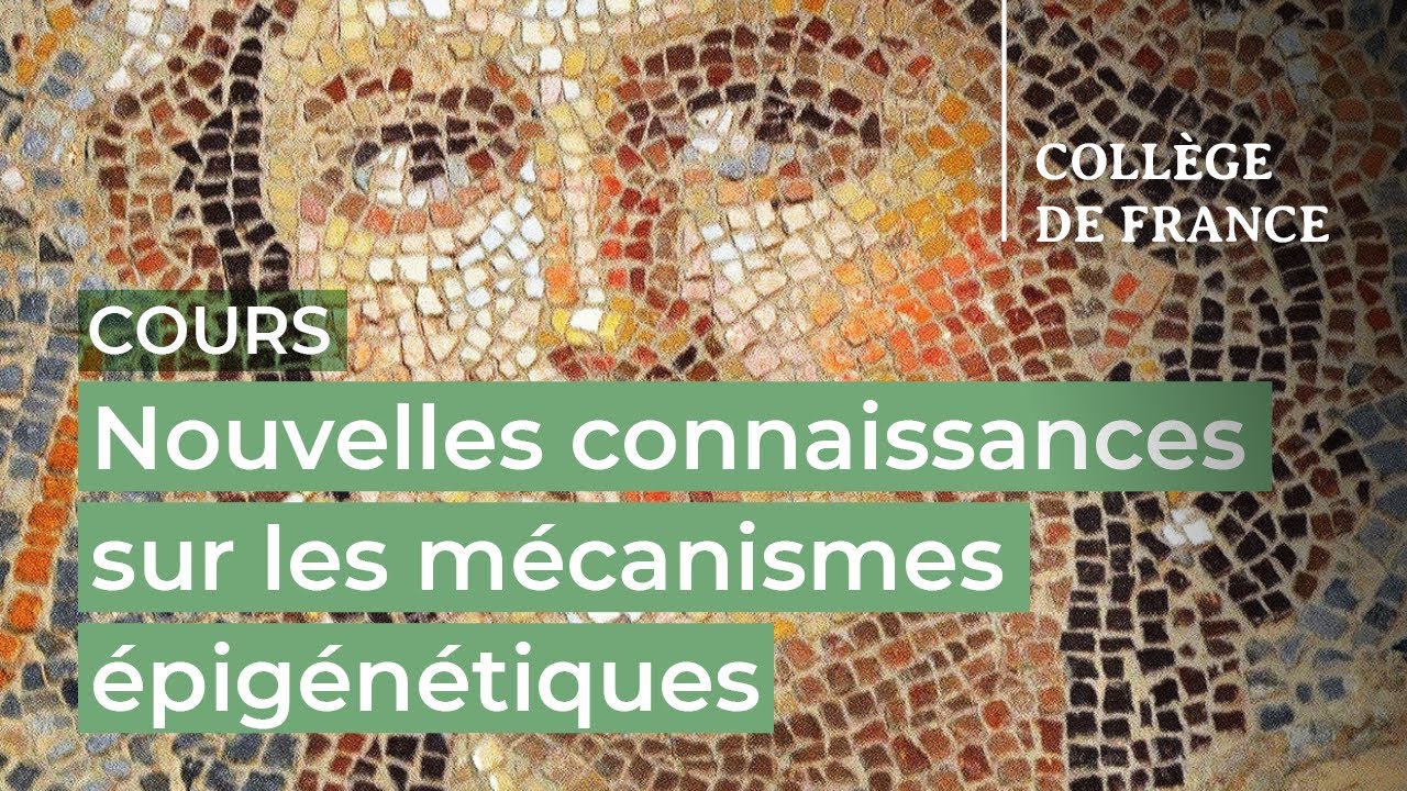 Nouvelles connaissances sur les mécanismes épigénétiques... (1) - Edith Heard (2024-2025)