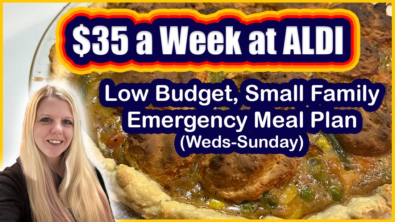 Feeding My Household For $35 a Week | Aldi Budget Meal Plan | Emergency Grocery Haul