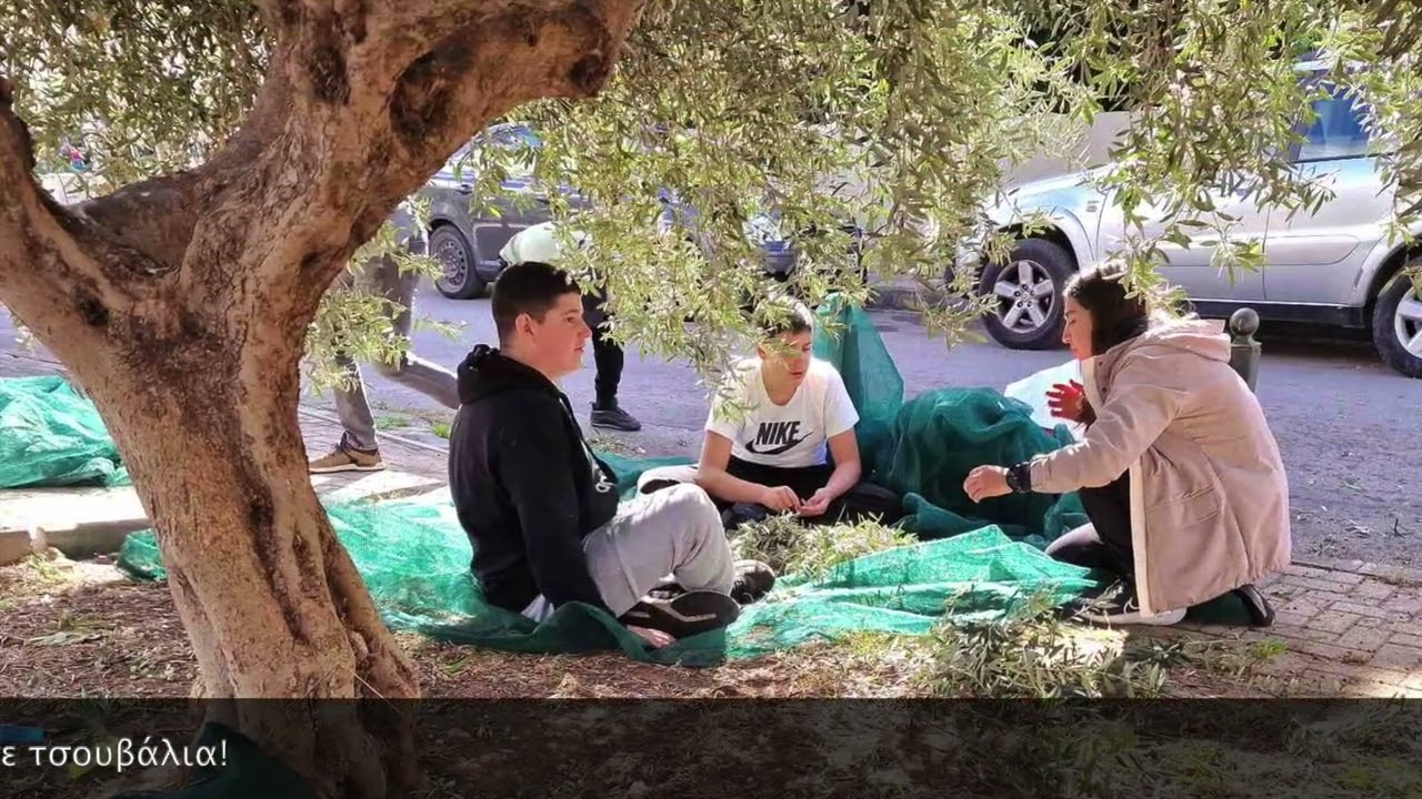 2ο Γυμνάσιο Γέρακα - Παράγοντας το λάδι μας - Σχ. Έτος 2024-25