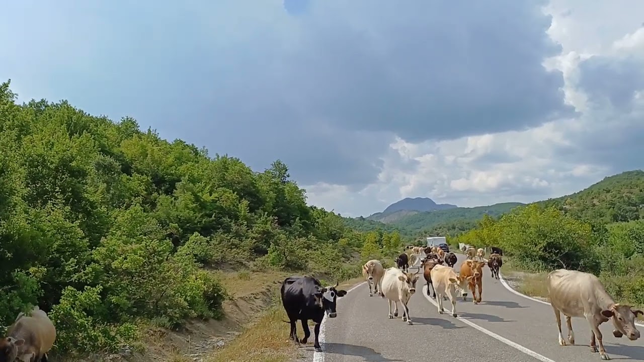 Albanien Radetappe Nat.Park Vjosa-Flußtal 12.Juni 25    Www.albanien-reiseagentur.de