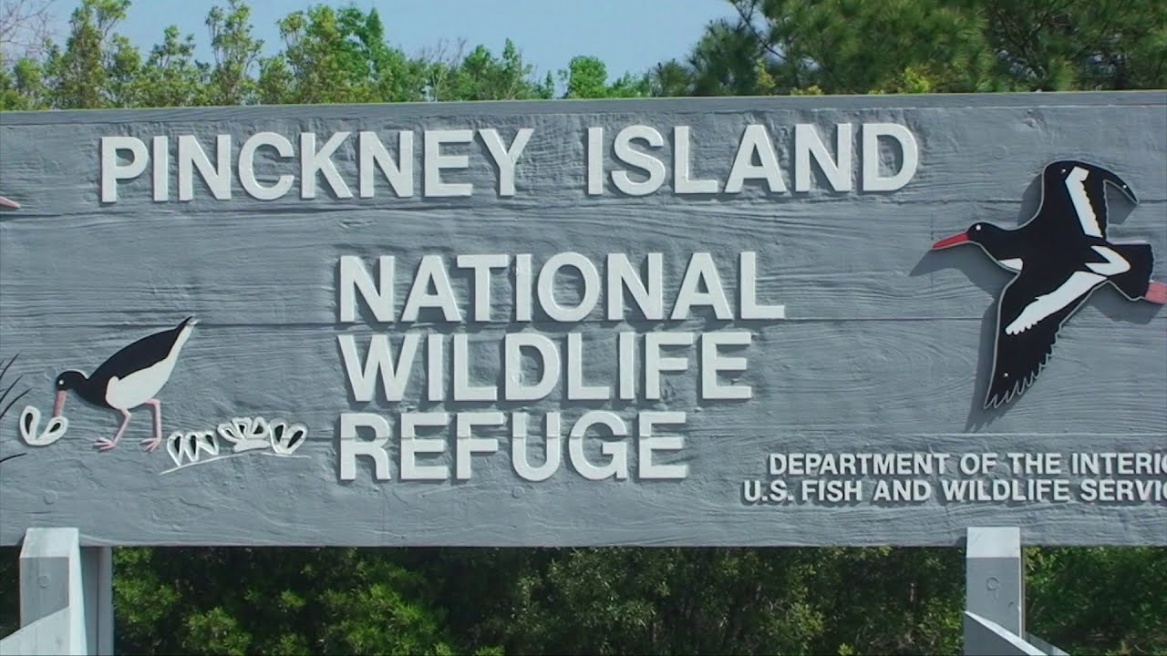 Pinckney Island Wildlife Refuge&copy;