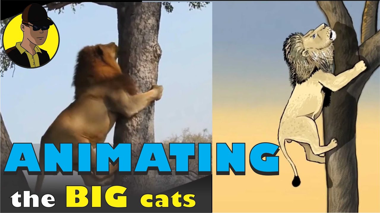 Animating the big cats - using reference video and rotoscoping