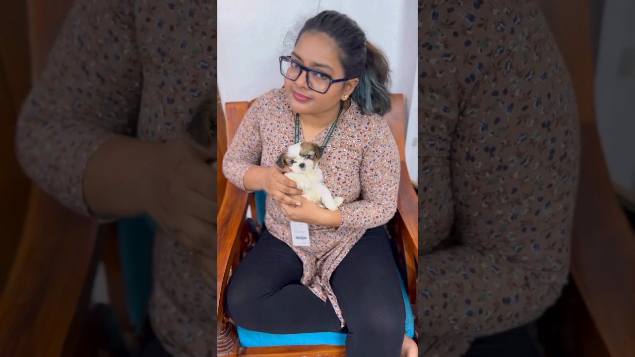 Na puppy maintenance 🔥🐶 #shortvideo #ishqyouall #swv #telugu #youtube #trending #comedy