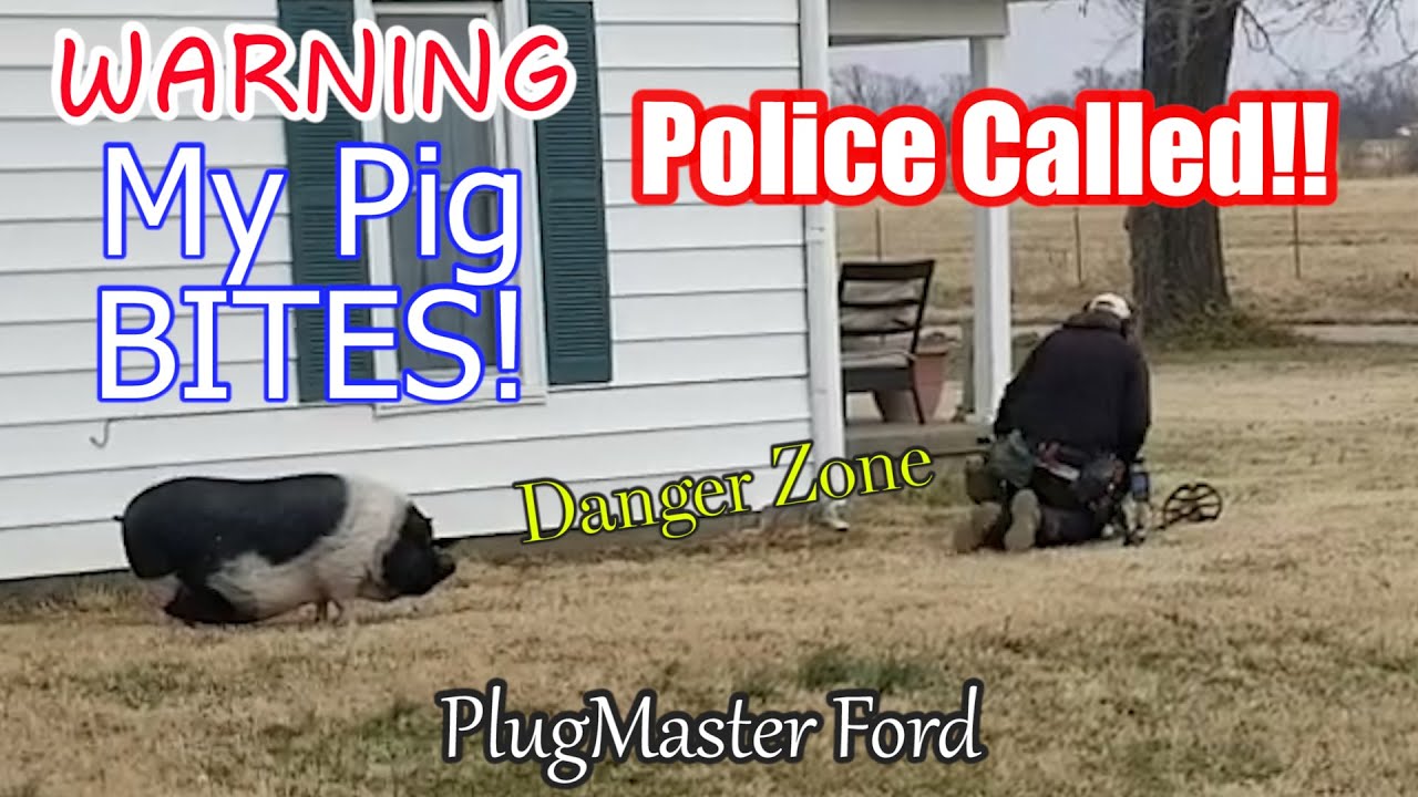 BITING PIG | POLICE Called While Metal Detecting | PlugMaster Ford | AWESOME FINDS