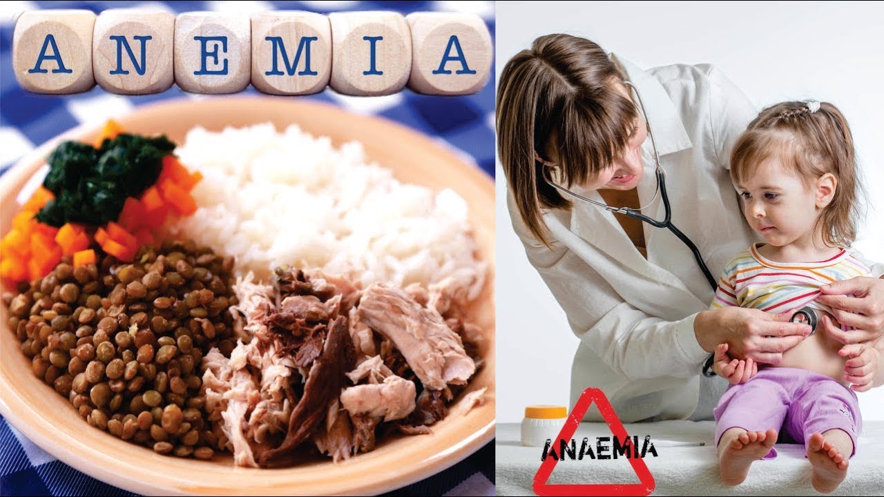 ANEMIA, sus CAUSAS y SOLUCIONES 🍜🍛 mejores ALIMENTOS para EVITAR la ANEMIA 🍗🐄🐟 Lic. VIVIAN GELLER