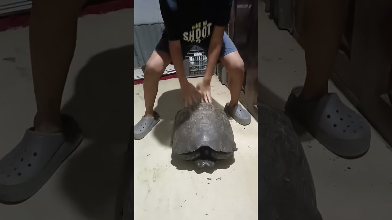 Kan chakai chhit in SATEL lian zet kan man