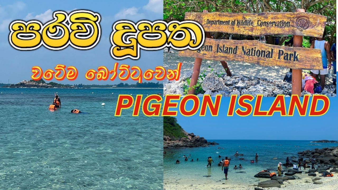 Pigeon Island | Snorkeling | Trincomalee | නිලාවේලි පරවි දුපත I Nilaveli Beach