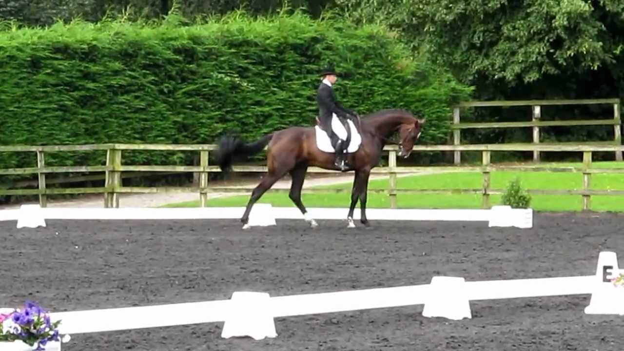 Somerford Park Farm CIC** Barbie doing dressage