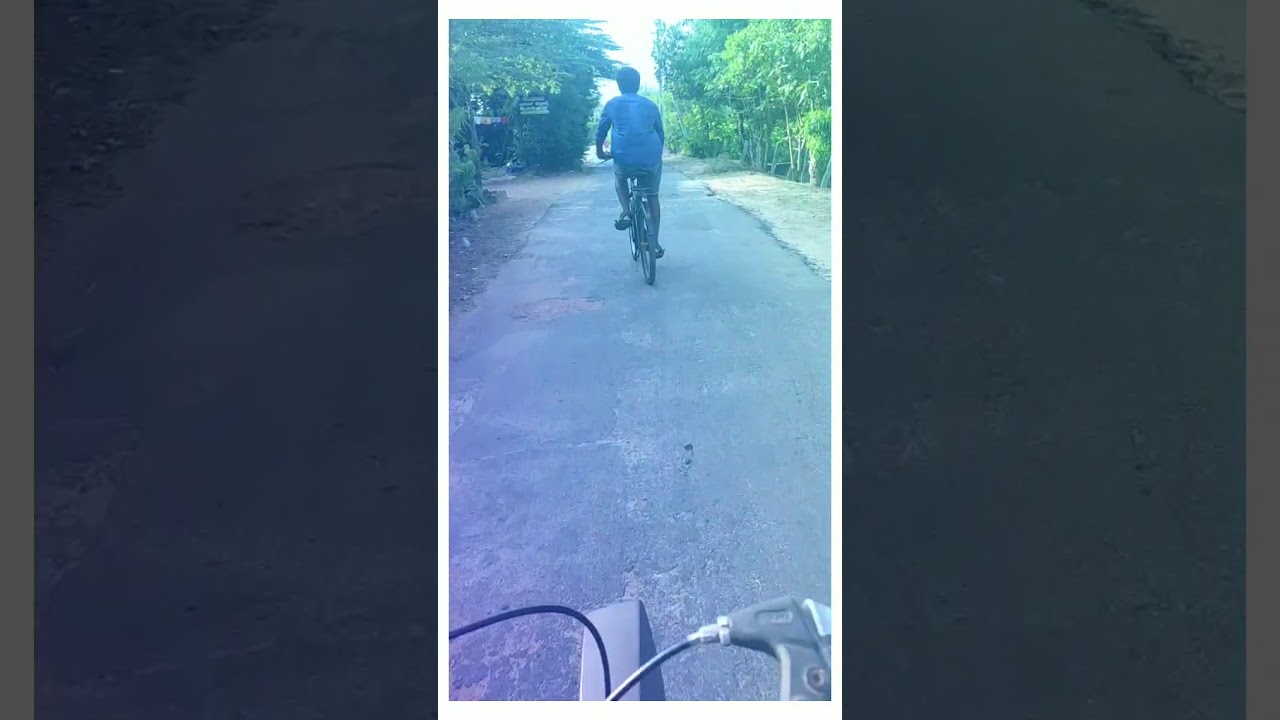Crazy Cycle Ride