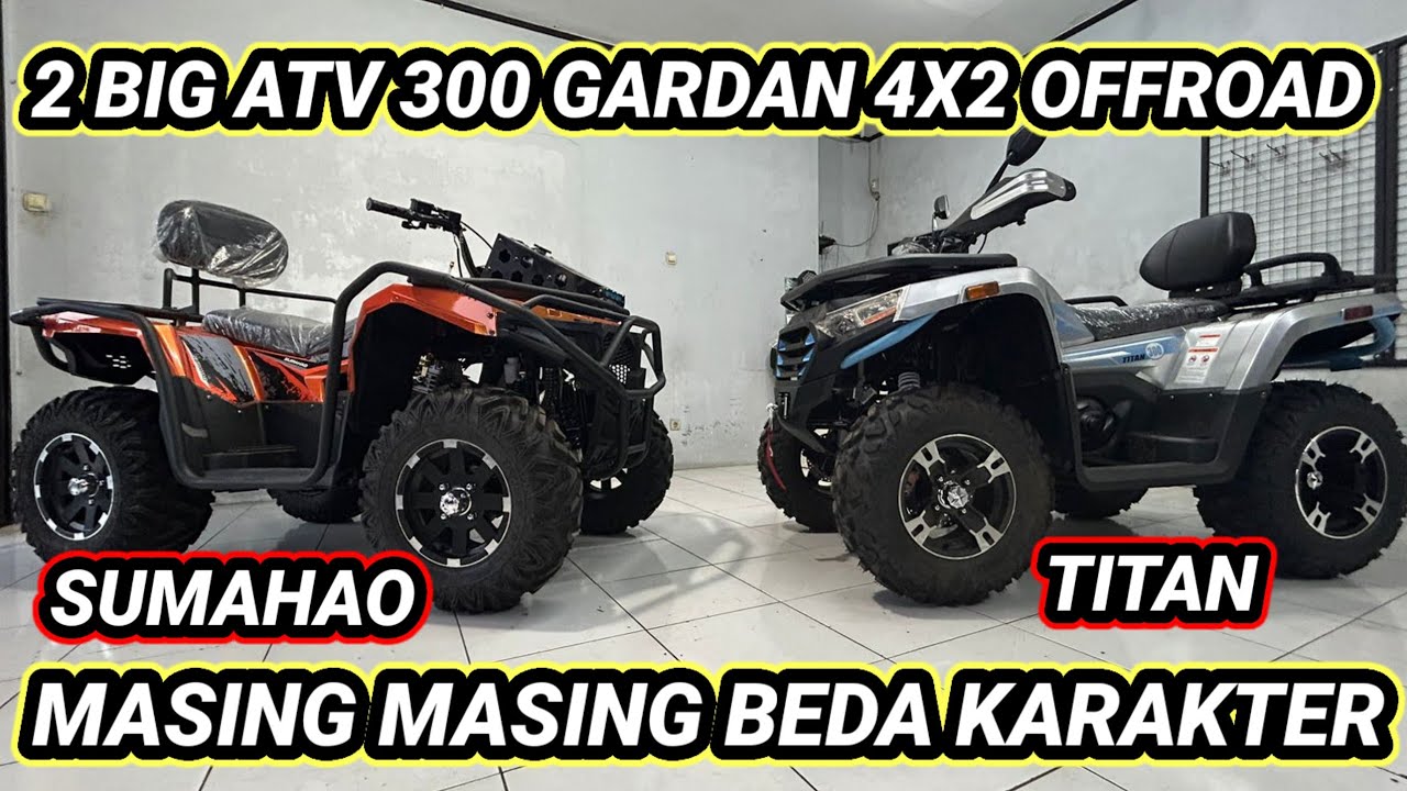 Этот большой вездеход 300 Axle 4X2 Offroad имеет особый характер