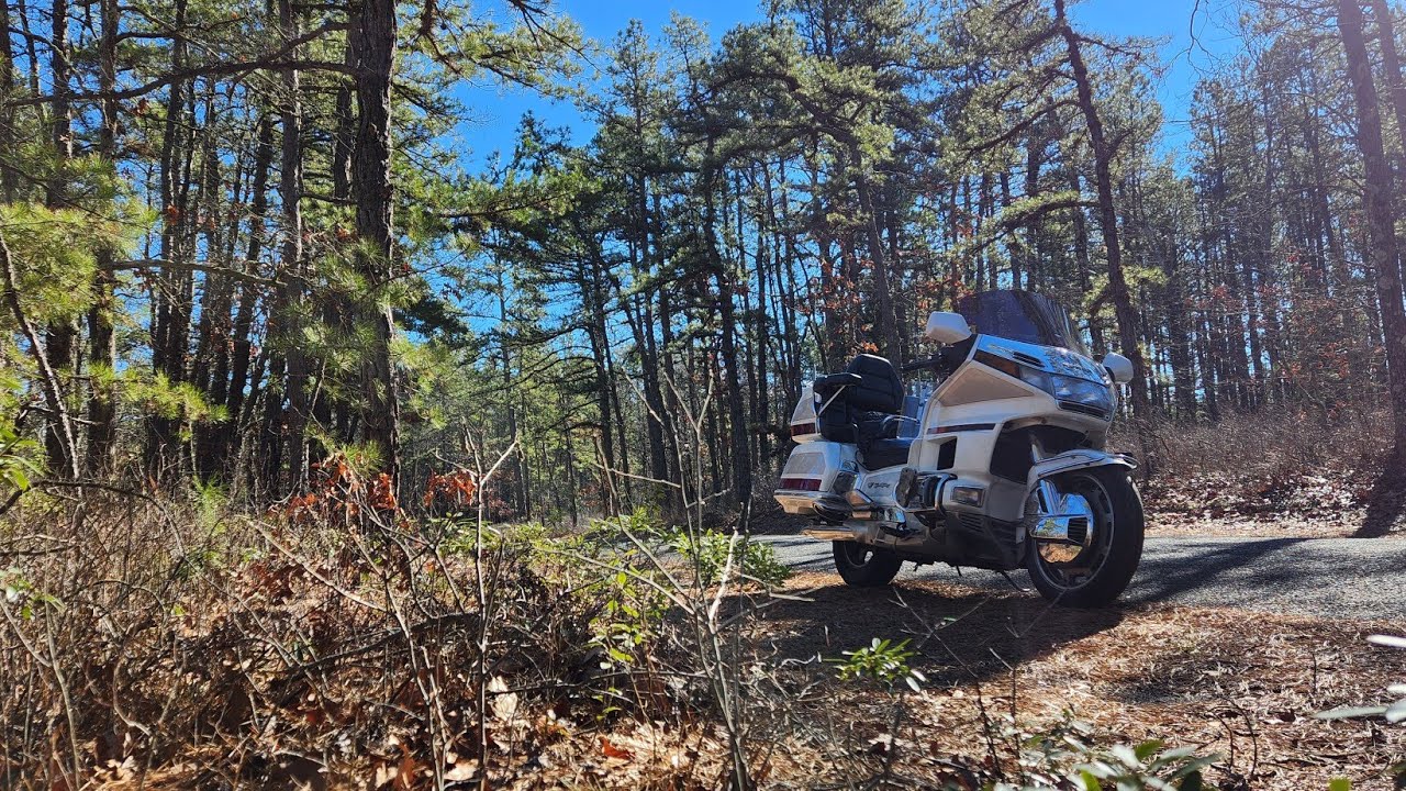 1997 Honda GoldWing 1500 SE In The Pine Barrens of New Jersey