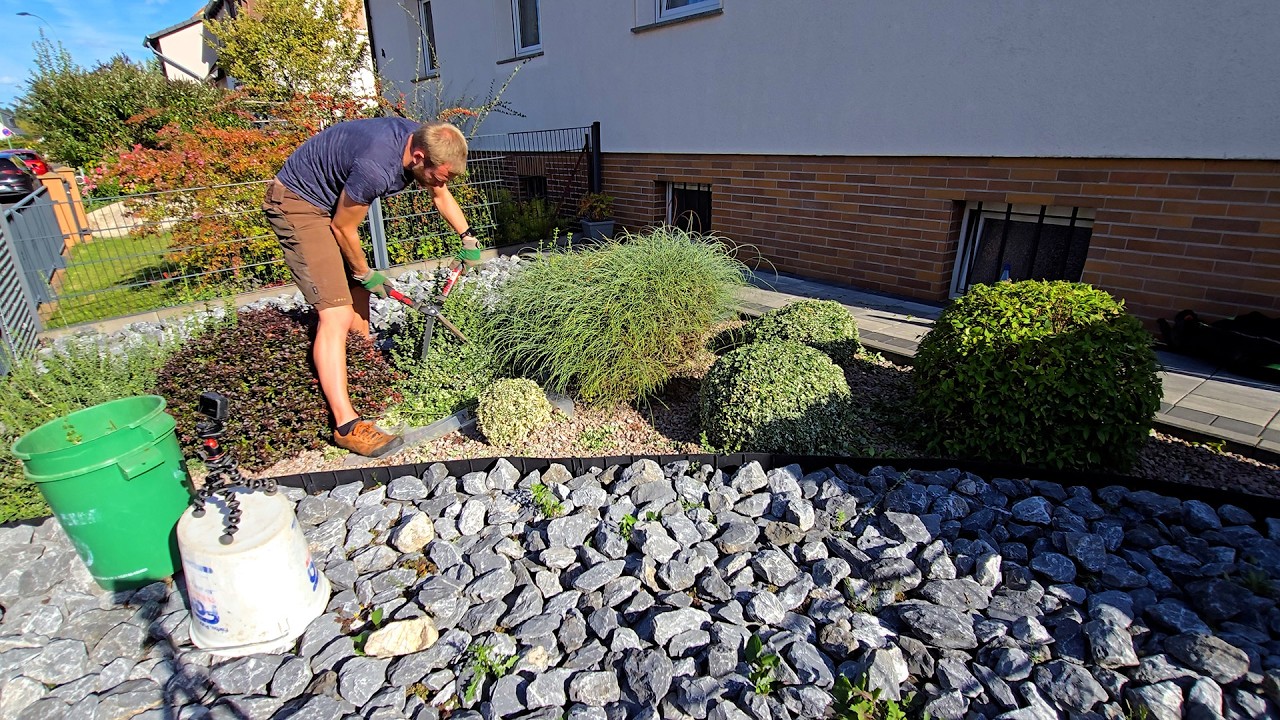 Satisfying Pruning Of Some Frontyard Shrubs